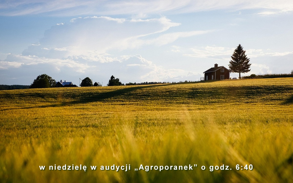 „POLSKI ROLNIK w UE. Wybieraj świadomie Polskie Produkty”. Fot. ilustracyjna/Pexels/pixabay.com
