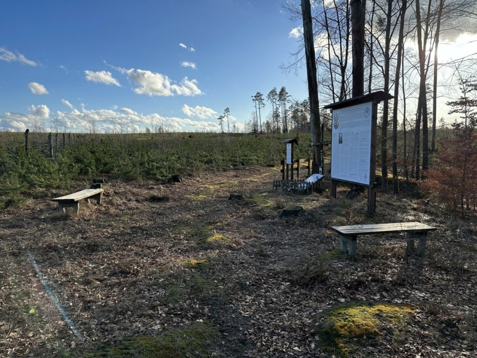 W tym miejscu w 1943 roku został zastrzelony Józef Gierszewski. Fot. Andrzej Gurba/skarszewy.naszemiasto.pl