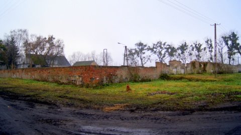 Czy w Lipinkach w gminie Koronowo powstanie wielka chlewnia na 10 tysięcy świń? Fot. Henryk Żyłkowski