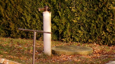 Bohaterka reportażu już 15 lat mieszka na działce odziedziczonej po ojcu i żyje z tego, co znajdzie przed marketami. Fot. Henryk Żyłkowski