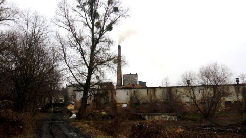 Audycja z 22 grudnia 2016