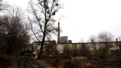 Mieszkańcy miejscowości Nielub pod Wąbrzeźnem narzekają na sąsiedztwo gorzelni. Fot. Adriana Andrzejewska