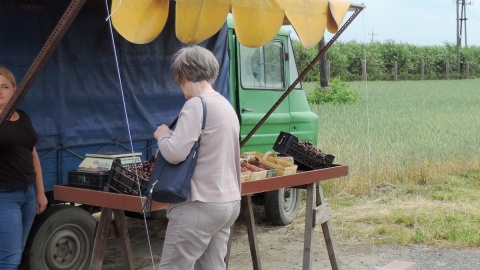 Klienci często nieświadomie kupują hiszpańskie truskawki zapewniani przez sprzedawców, że ich zakup pochodzi prosto z polskiego pola. Fot. Lech Przybyliński