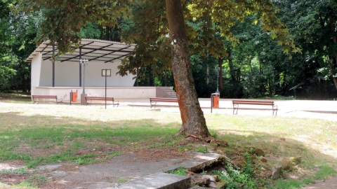 Smogulec w Wielkopolsce. Fot. Lech Przybyliński