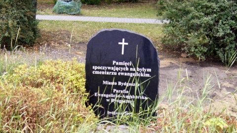Fot. Henryk Żyłkowski