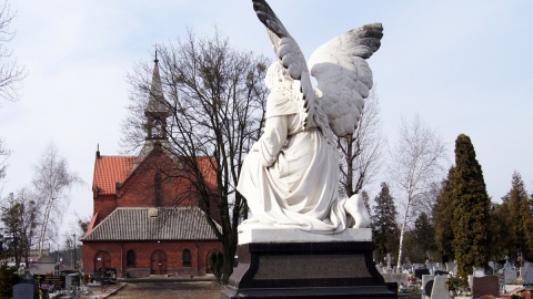 Fot. Henryk Żyłkowski