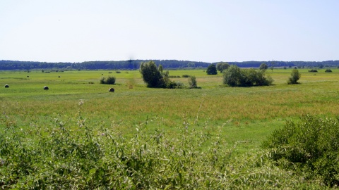 Fot. Henryk Żyłkowski