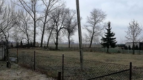 Sąsiedzki konflikt w Słońsku. Fot. Michał Słobodzian