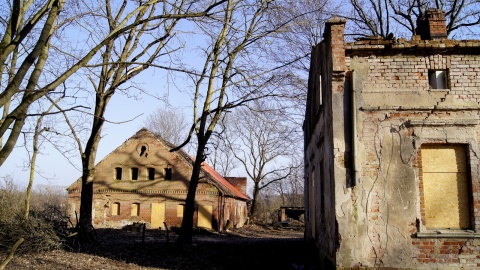 Dom w Dusocinie, w którym się urodził znany chirurg, jest ruiną. Fot. Archiwum PR PiK