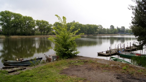 Z roku na rok obniża się lustro wody w Jeziorze Ostrowskim. Fot. Henryk Żyłkowski