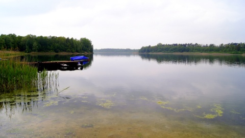 Z roku na rok obniża się lustro wody w Jeziorze Ostrowskim. Fot. Henryk Żyłkowski
