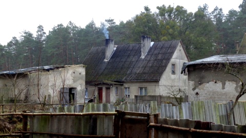 Czy na polskiej wsi w XXI wieku można zobaczyć sceny wyjęte z reymontowskich "Chłopów"? Fot. Marcin Doliński