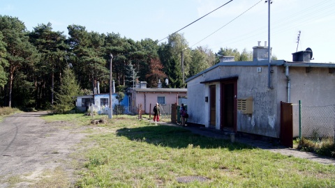 Być może w lesie zostali pochowani niemieccy więźniowie obozu Zimne Wody w Bydgoszczy. Fot. Henryk Żyłkowski