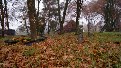 Czy istnieje sposób zabezpieczenia starych mennonickich cmentarzy? Fot. Henryk Żyłkowski