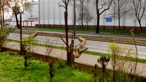 ilka lat temu mówili nam, że płot jest w takim stanie, że runie na chodnik i ścieżkę rowerową. Niedawno tak się stało