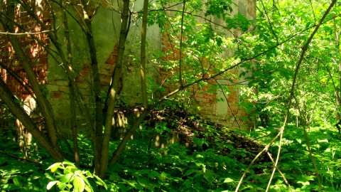 Czy to możliwe, żeby w ciągu zaledwie 25 lat doprowadzić do ruiny przepiękny dwór w Będzitowie? Fot. Henryk Żyłkowski