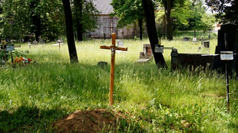 Prawdopodobne miejsce pochówku szczątków. Fot. Henryk Żyłkowski