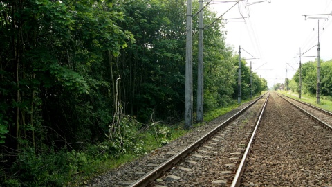 Zerwane konary drzew spadają na drogi, ulice, a nawet trakcje kolejowe. Fot. Henryk Żyłkowski