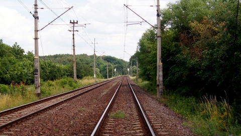 Zerwane konary drzew spadają na drogi, ulice, a nawet trakcje kolejowe. Fot. Henryk Żyłkowski