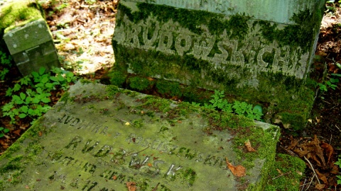 Groby i ludzkie szczątki profanowane są na rzymsko-katolickim cmentarzu w Płonnem. Fot. Henryk Żyłkowski