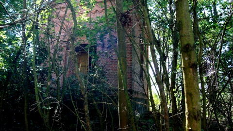 Groby i ludzkie szczątki profanowane są na rzymsko-katolickim cmentarzu w Płonnem. Fot. Henryk Żyłkowski