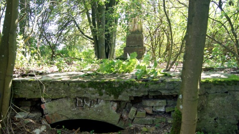 Groby i ludzkie szczątki profanowane są na rzymsko-katolickim cmentarzu w Płonnem. Fot. Henryk Żyłkowski