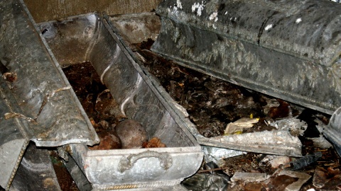 Groby i ludzkie szczątki profanowane są na rzymsko-katolickim cmentarzu w Płonnem. Fot. Henryk Żyłkowski