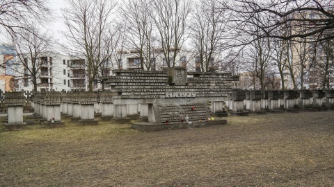 Fot. Michał Zaręba