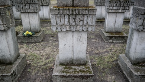 Fot. Michał Zaręba