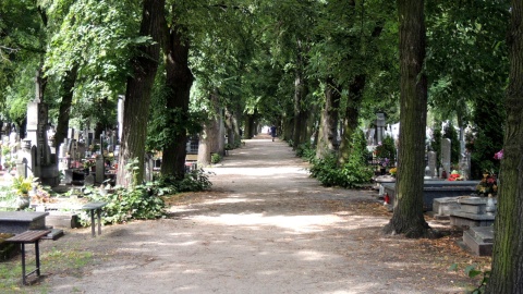 Fot. Michał Zaręba