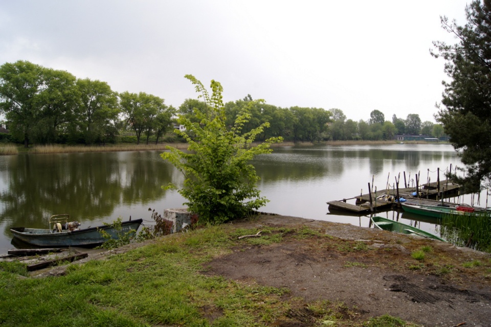 Z roku na rok obniża się lustro wody w Jeziorze Ostrowskim. Fot. Henryk Żyłkowski