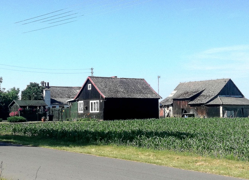 Szlakiem kujawsko-pomorskich "poniatówek". Fot. Michał Słobodzian