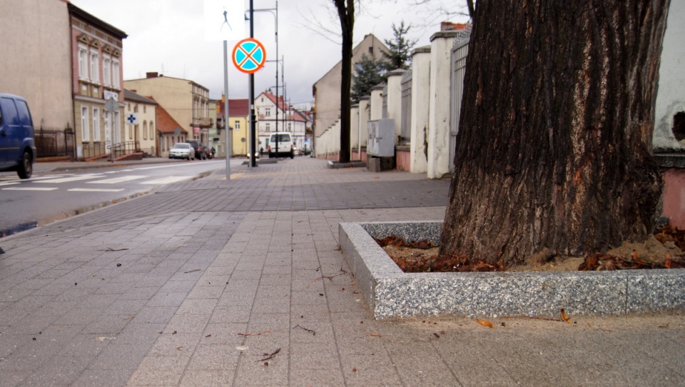 Po rewitalizacji głównej ulicy w Solcu Kujawskim, problemem stały się wysokie i ostre krawężniki otaczajace drzewa. Fot. Henryk Żyłkowski