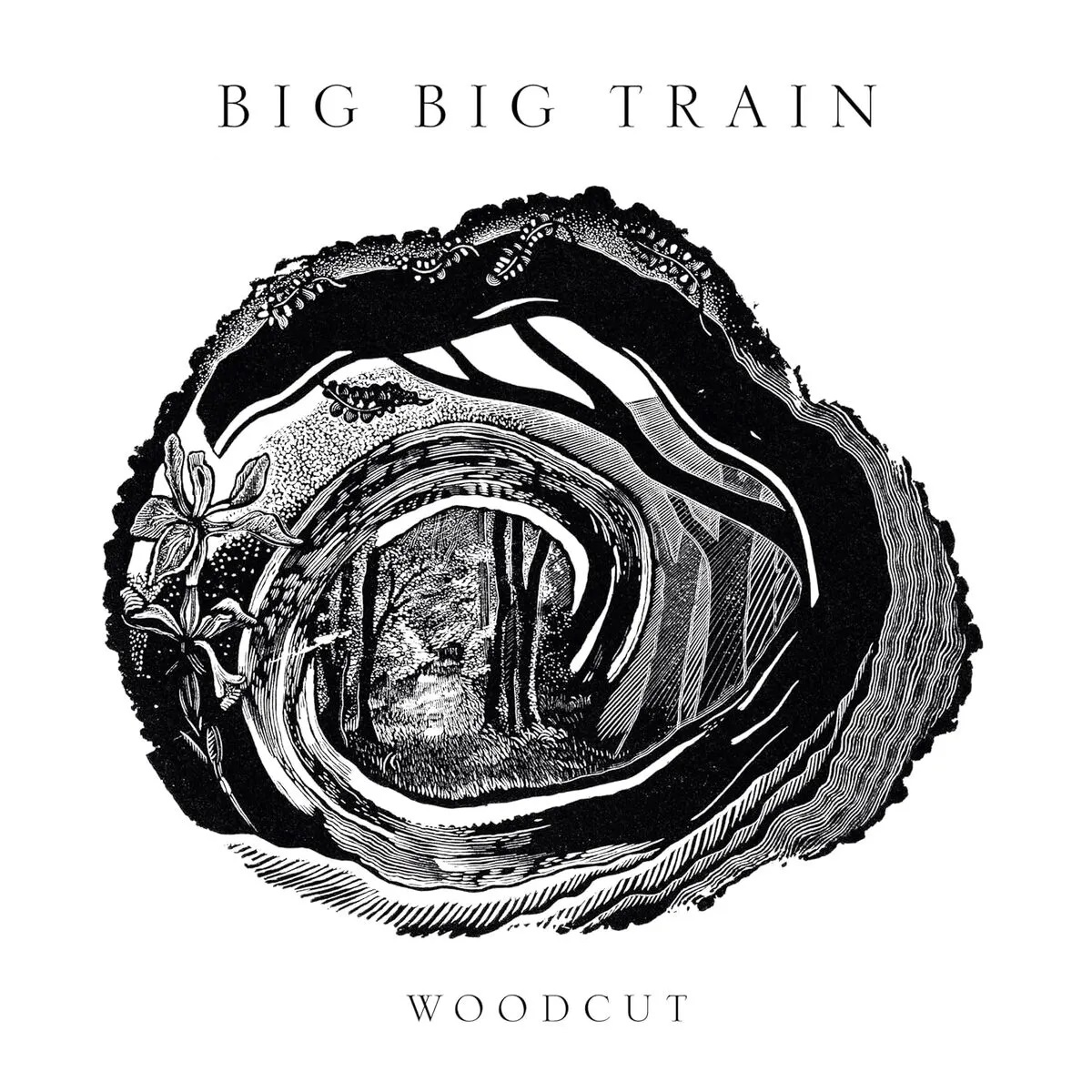 BIG BIG TRAIN – Woodcut