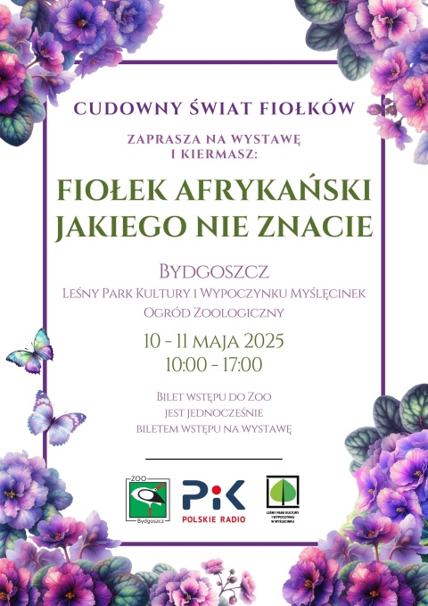 Wystawa Fiołków Afrykańskich pt. Fiołek afrykański jakiego nie znamy Leśny Park Kultury i Wypoczynku w Myślęcinkuhellip