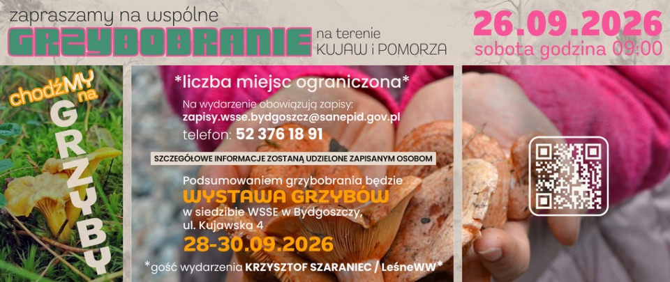 mat.organizatora