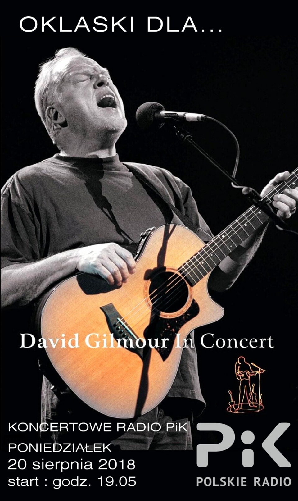 David Gilmour - In Concert