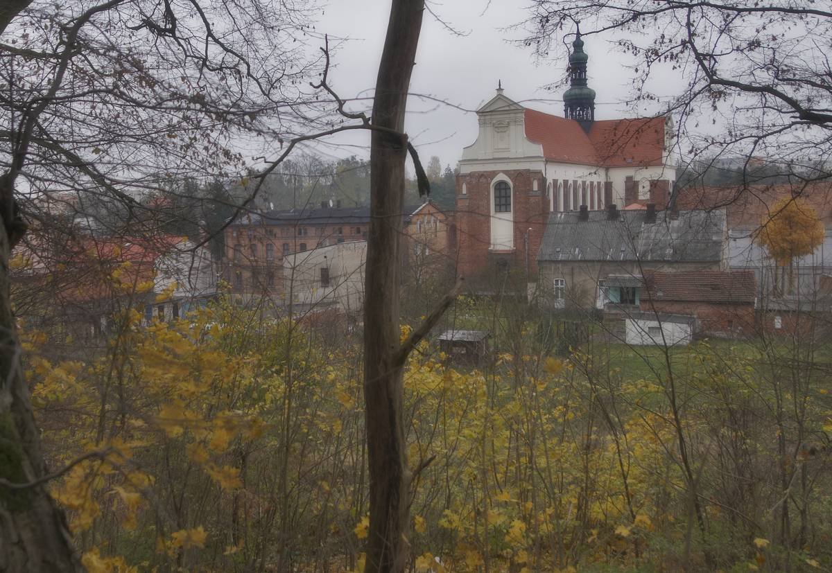 Park „Grabina” znany jest nie tylko mieszkańcom Koronowa. Fot. koronowo.pl Park „Grabina” znany jest nie tylko mieszkańcom Koronowa. Fot. koronowo.pl