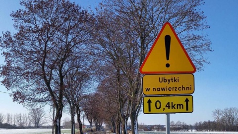Modernizacja drogi kosztem wycięcia kilkudziesięciu drzew to wysoka cena! / Fot. Michał Słobodzian