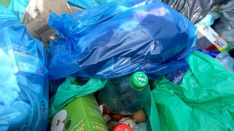 Dlaczego mieszkańy osiedla „Heban” w Tucholi mają problem z segregacją śmieci? Fot. Michał Słobodzian