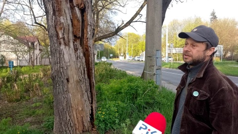 O problemie mówi Mariusz Warachim z Fundacji Zielone Kujwy. Fot. Michał Zaręba/Polskie Radio PiK