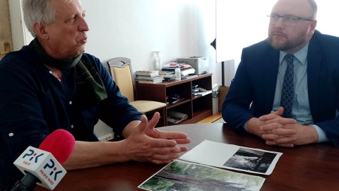 O sprawie chorego drzewa Tomasz Kozłowski (L) z wydziału Środowiska i Ekologii toruńskiego Urzędu Miasta rozmawia z Pawłem Gulewskim (P) zastępcą prezydenta Torunia. Fot. Michał Zaręba/Polskie Radio PiK