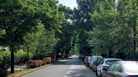 Czy płatne strefy parkingowe powinny się rozrastać? Fot. Michał Słobodzian
