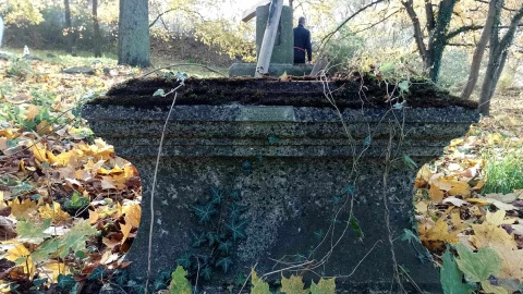 Czy stary cmentarz ewangelicki przy ul. Poznańskiej w Toruniu w końcu zostanie uporządkowany? Fot. Michał Zaręba