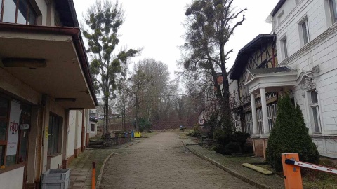 Jak jawi się przyszłość zabytkowych obiektów ulokowanych na terenie dawnej Fabryki Obrabiarek do Drewna w Bydgoszczy? Fot. Michał Słobodzian