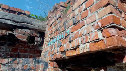 Wandale zdewastowali ruiny Zamku Dybowskiego w Toruniu. Fot. Michał Zaręba/PR PiK