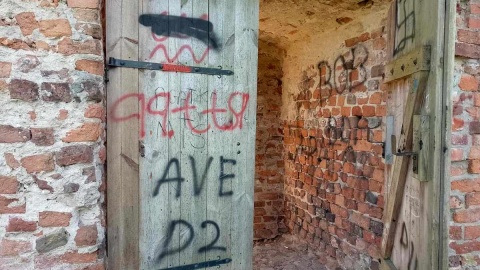 Wandale zdewastowali ruiny Zamku Dybowskiego w Toruniu. Fot. Michał Zaręba/PR PiK