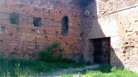 Wandale zdewastowali ruiny Zamku Dybowskiego w Toruniu. Fot. Michał Zaręba/PR PiK