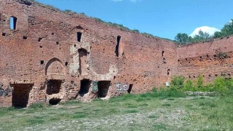 Wandale zdewastowali ruiny Zamku Dybowskiego w Toruniu. Fot. Michał Zaręba/PR PiK