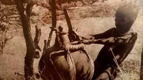 Fotografie z afrykańskiej wyprawy Kazimierza Nowaka ze zbiorów Muzeum Pracowni Literackiej Arkadego Fiedlera w Puszczykowie, prezentowane na wystawie w „Muzeum Ziemi Szubińskiej”. Fot. Michał Słobodzian/PR PiK